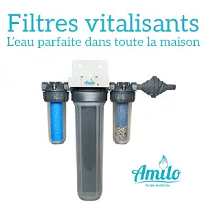 Filtres vitalisants Amilo