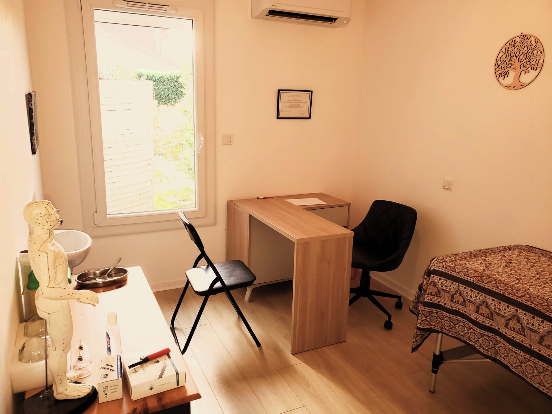 Lounes Acupuncture Montauban